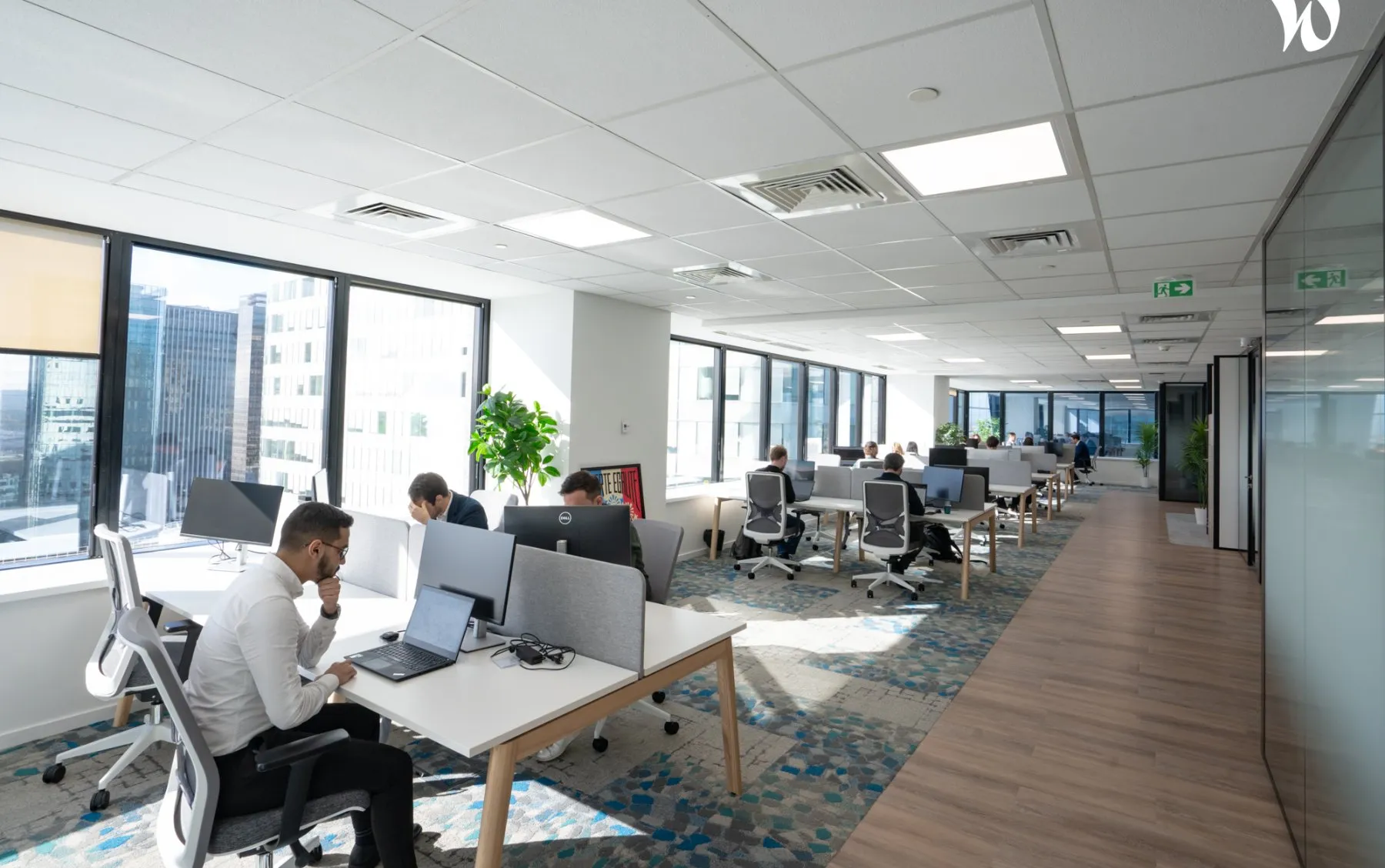 Bureaux Visian, Tour Europlaza, La Défense