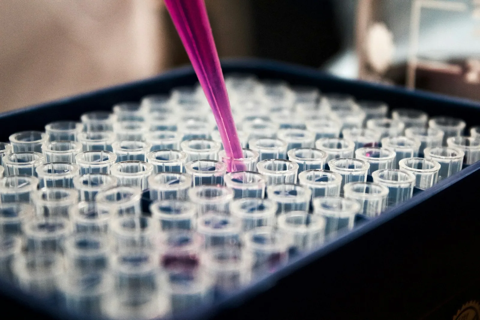 Pipette au-dessus d'une plaque de laboratoire