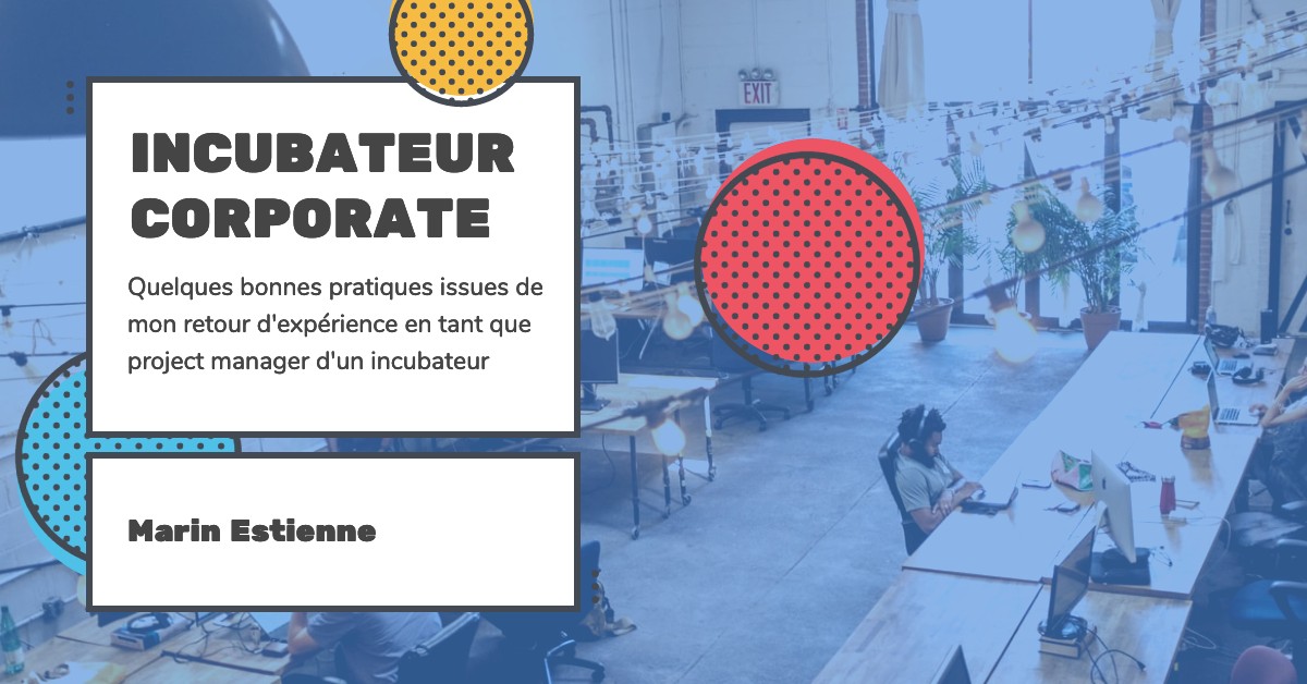 conseils dans la gestion dun incubateur visian